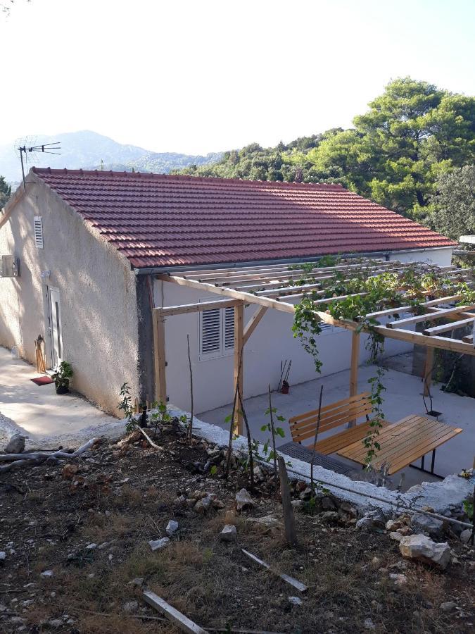 Apartments By The Sea Cove Blaca, Mljet - 4899 萨普伦纳拉 外观 照片
