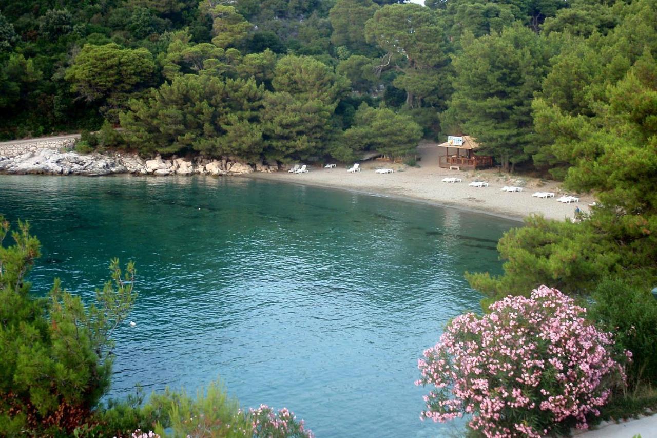 Apartments By The Sea Cove Blaca, Mljet - 4899 萨普伦纳拉 外观 照片